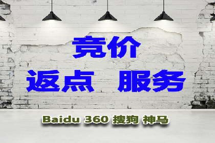 SEM代运营服务公司案例分析：数据驱动营销策略